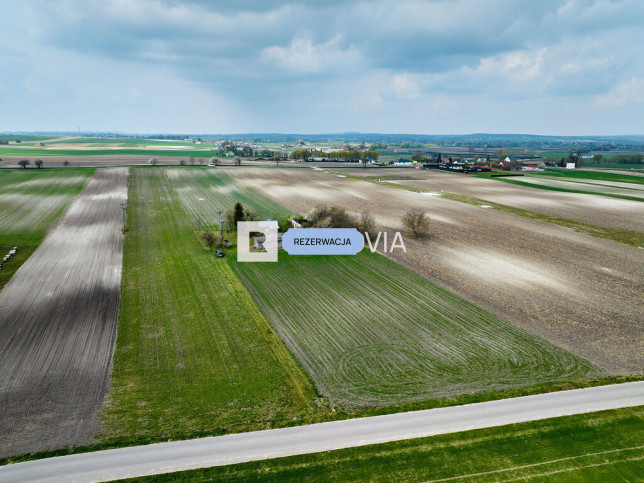 Działka Sprzedaż Depułtycze Królewskie-Kolonia 6